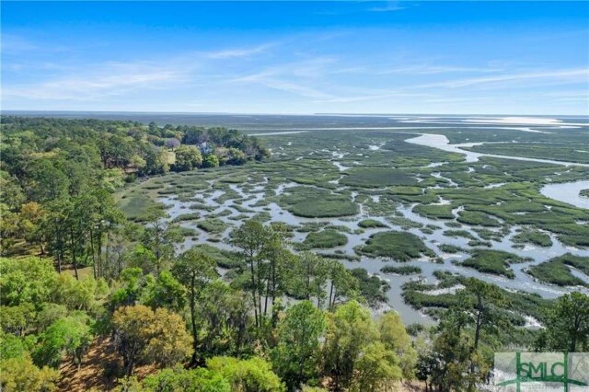 Picture of Residential Land For Sale in Midway, Georgia, United States