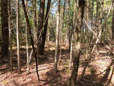 Residential Land For Sale in Greenbush, Maine