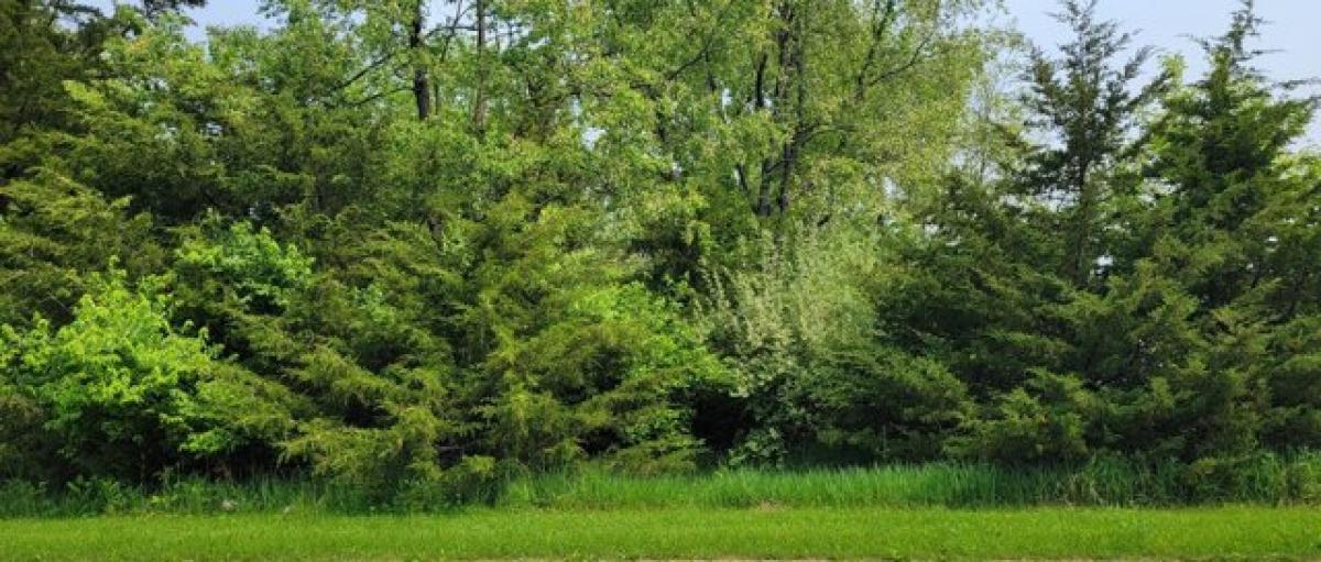 Picture of Residential Land For Sale in Dixon, Illinois, United States