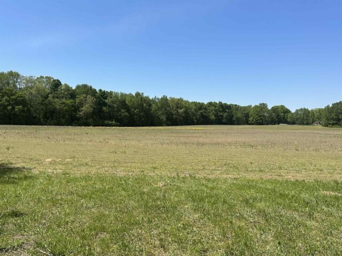 Picture of Residential Land For Sale in Anderson, Alabama, United States