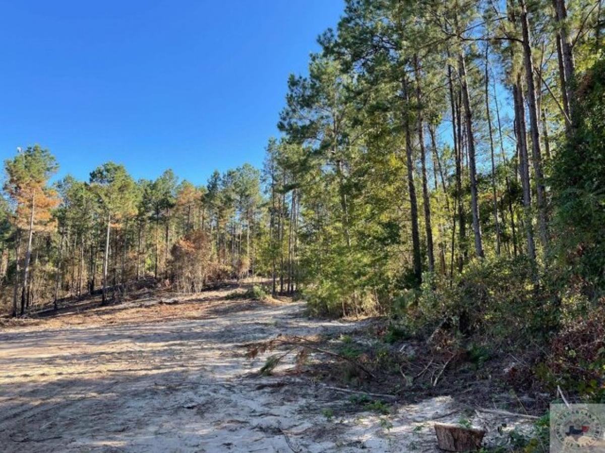 Picture of Residential Land For Sale in Marietta, Texas, United States