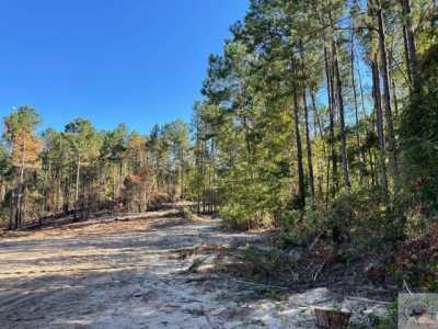 Residential Land For Sale in Marietta, Texas