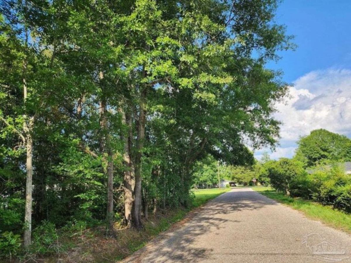 Picture of Residential Land For Sale in Atmore, Alabama, United States