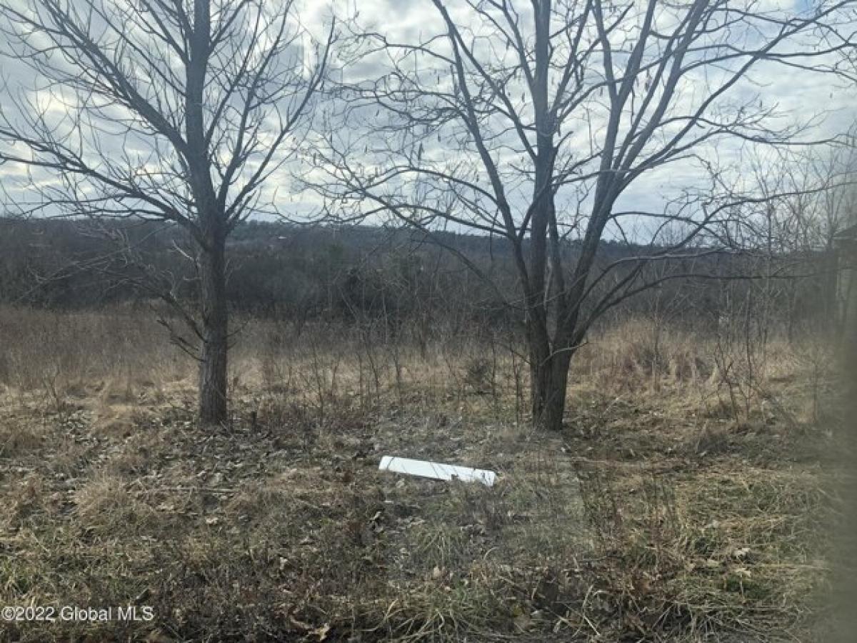 Picture of Residential Land For Sale in Ravena, New York, United States