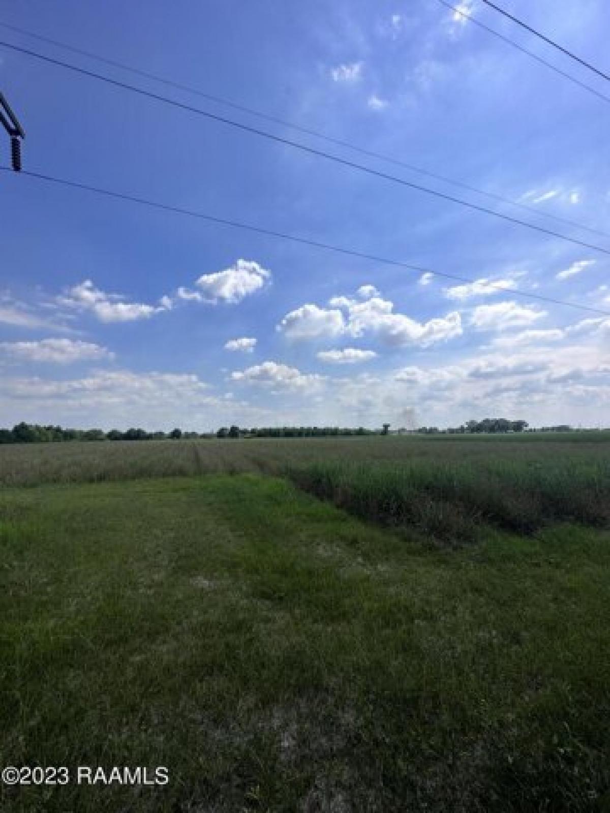 Picture of Residential Land For Sale in Duson, Louisiana, United States