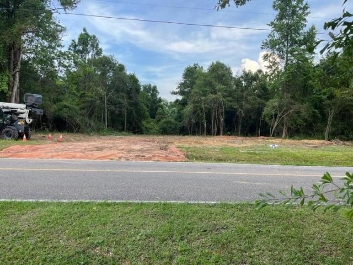 Picture of Residential Land For Sale in Carriere, Mississippi, United States