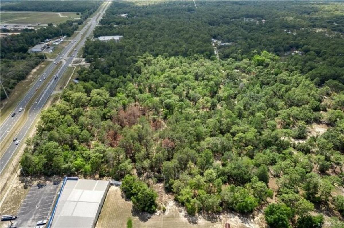 Picture of Residential Land For Sale in Lecanto, Florida, United States