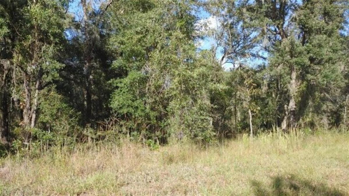 Picture of Residential Land For Sale in Fort Mccoy, Florida, United States