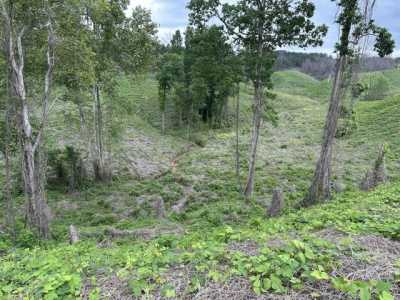 Residential Land For Sale in 