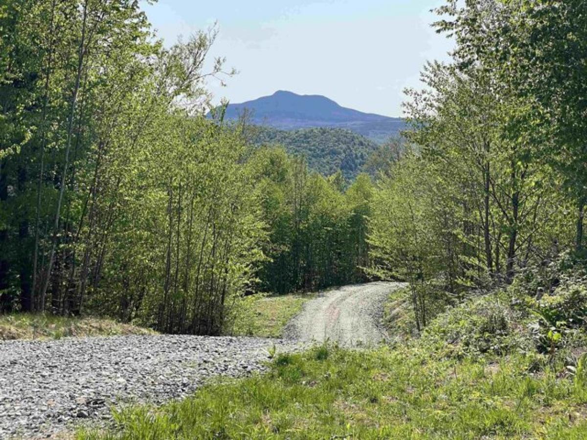 Picture of Residential Land For Sale in Waterbury, Vermont, United States