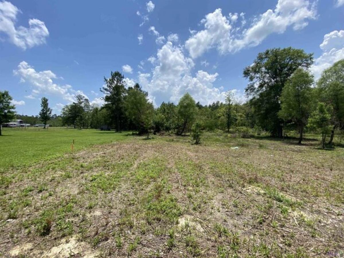 Picture of Residential Land For Sale in Walker, Louisiana, United States