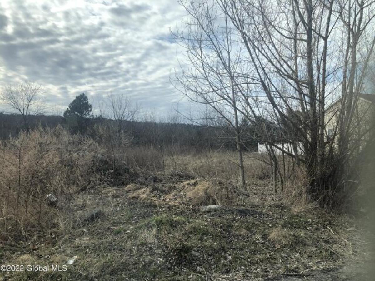 Picture of Residential Land For Sale in Ravena, New York, United States