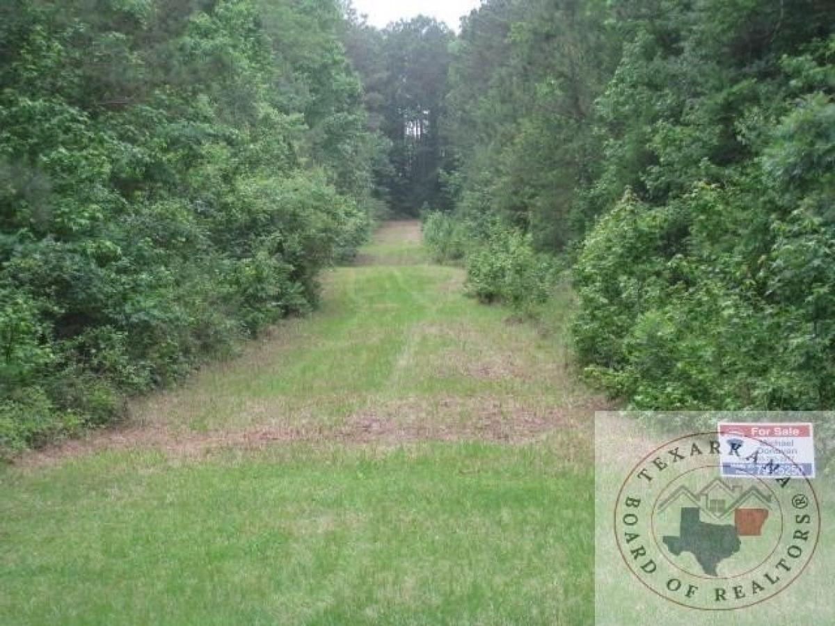 Picture of Residential Land For Sale in Texarkana, Arkansas, United States