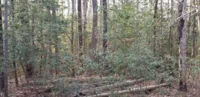 Residential Land For Sale in Lancaster, Virginia