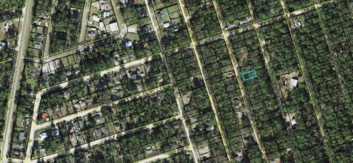 Picture of Residential Land For Sale in Crawfordville, Florida, United States