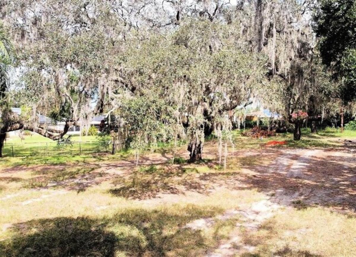 Picture of Residential Land For Sale in Winter Haven, Florida, United States