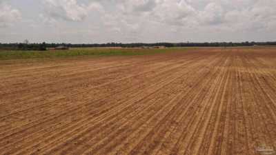 Residential Land For Sale in 