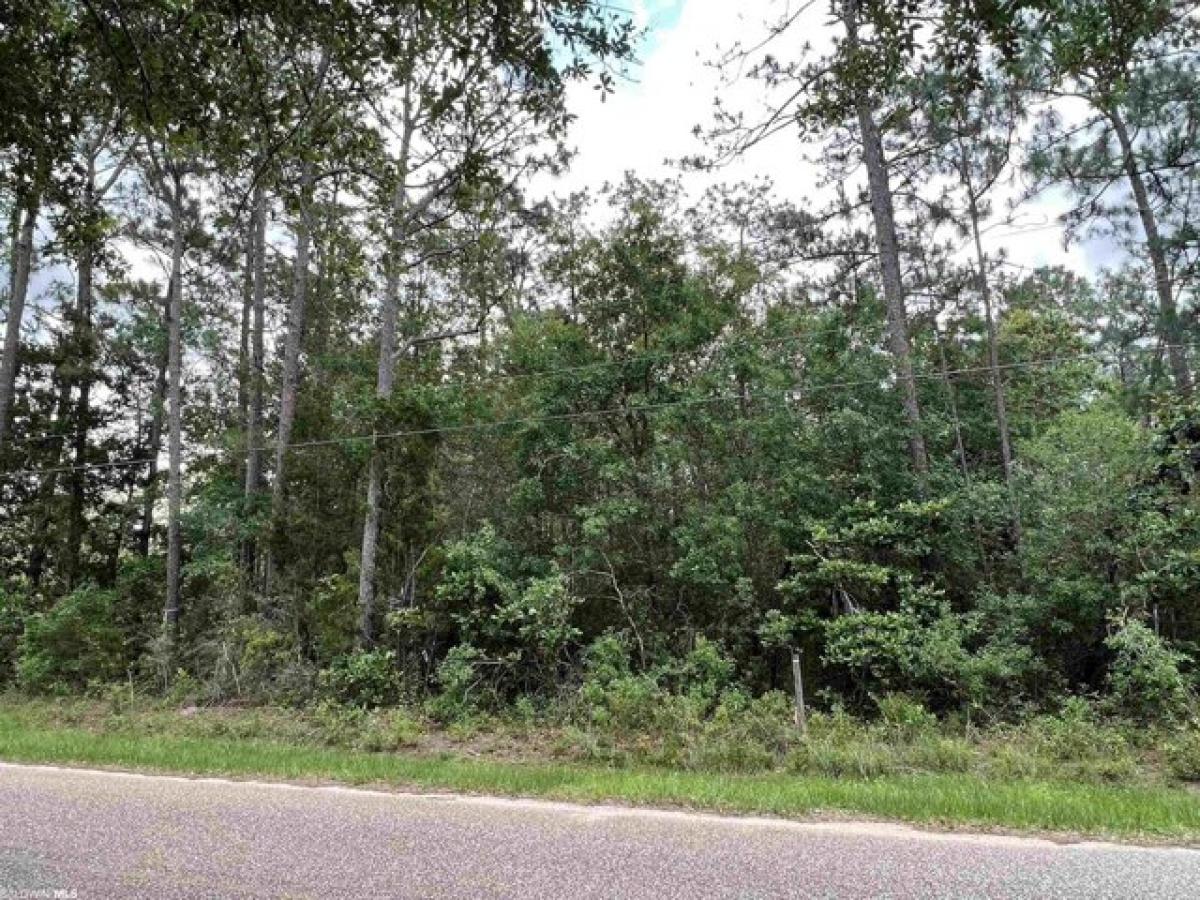 Picture of Residential Land For Sale in Elberta, Alabama, United States