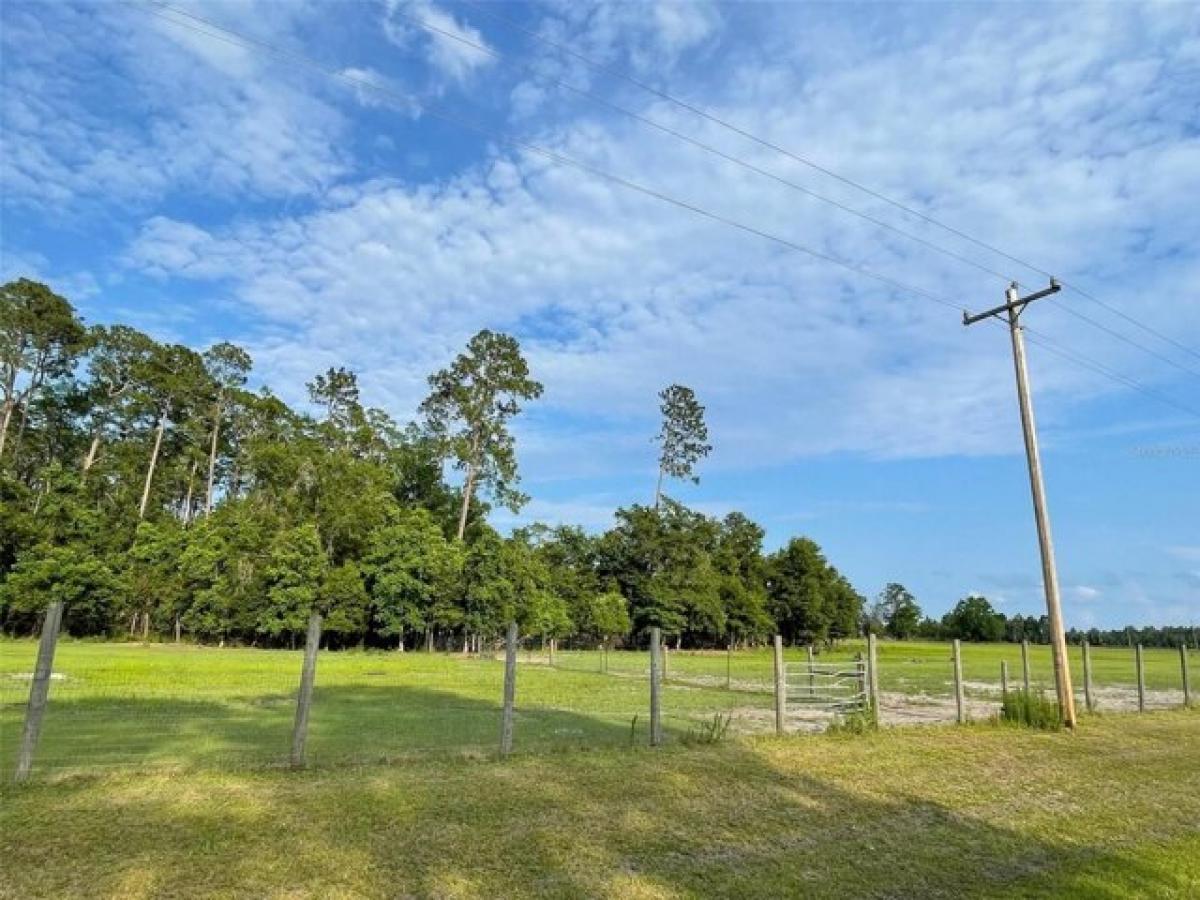 Picture of Residential Land For Sale in Waldo, Florida, United States