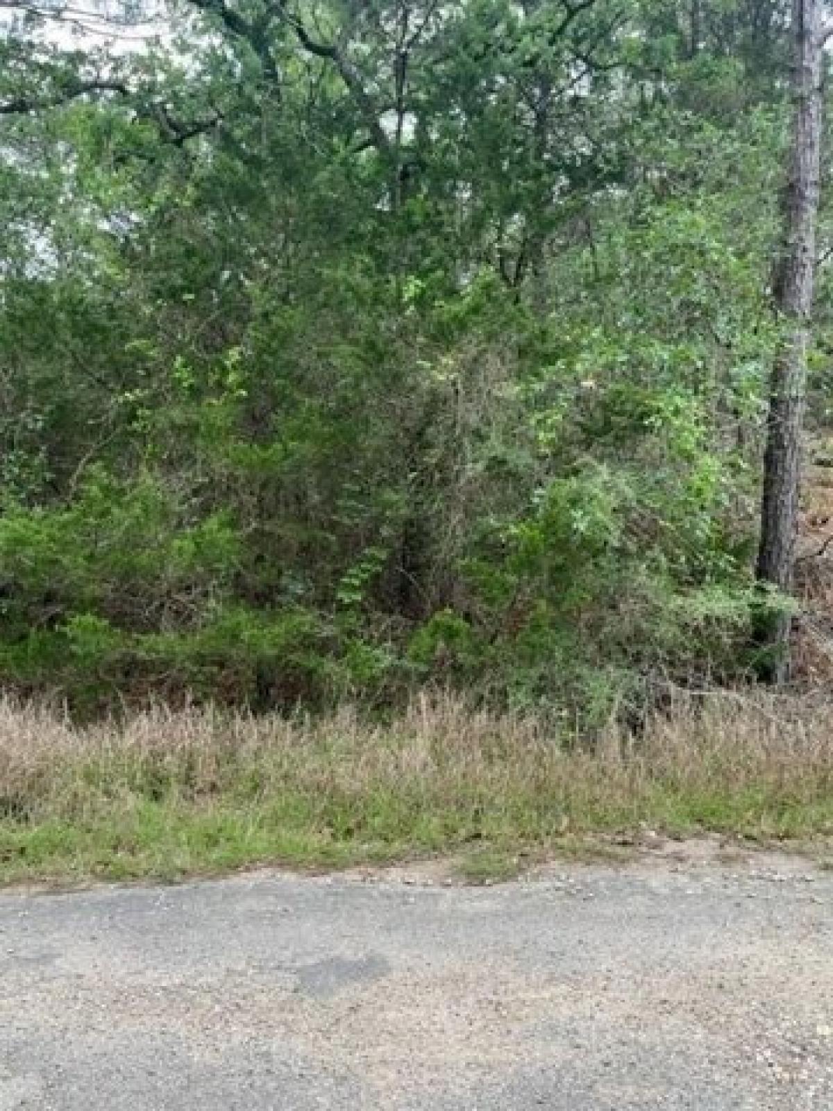 Picture of Residential Land For Sale in Bastrop, Texas, United States