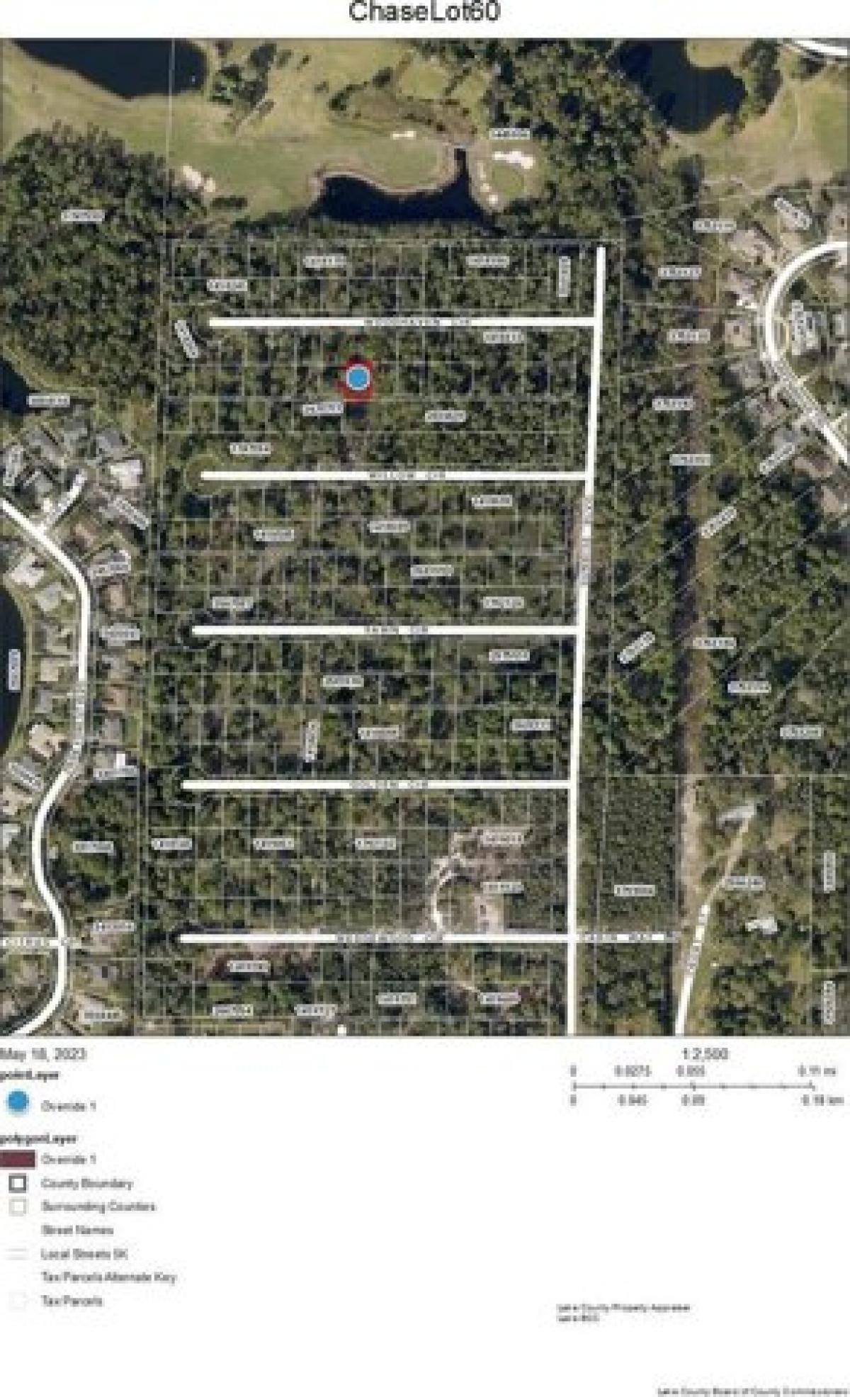 Picture of Residential Land For Sale in Mount Dora, Florida, United States