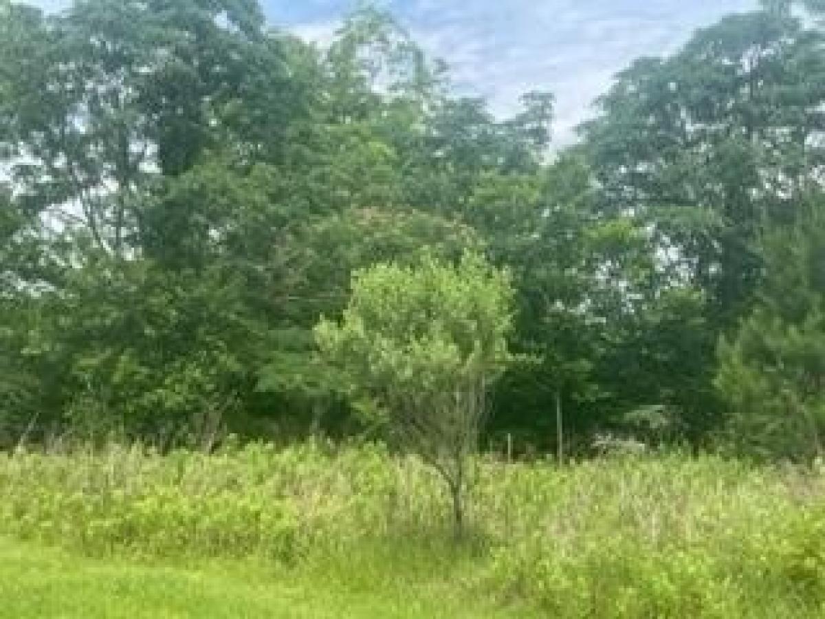 Picture of Residential Land For Sale in Jesup, Georgia, United States