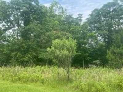 Residential Land For Sale in 