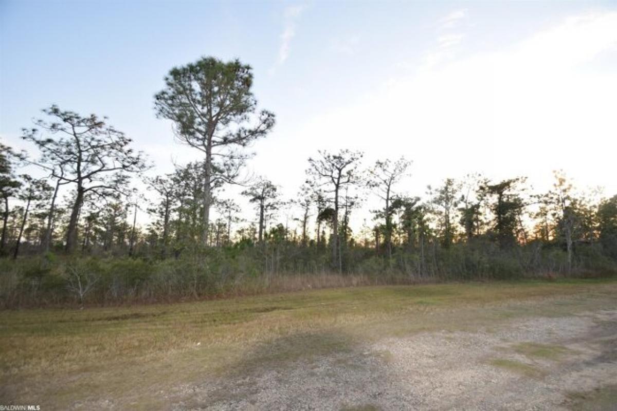 Picture of Residential Land For Sale in Coden, Alabama, United States