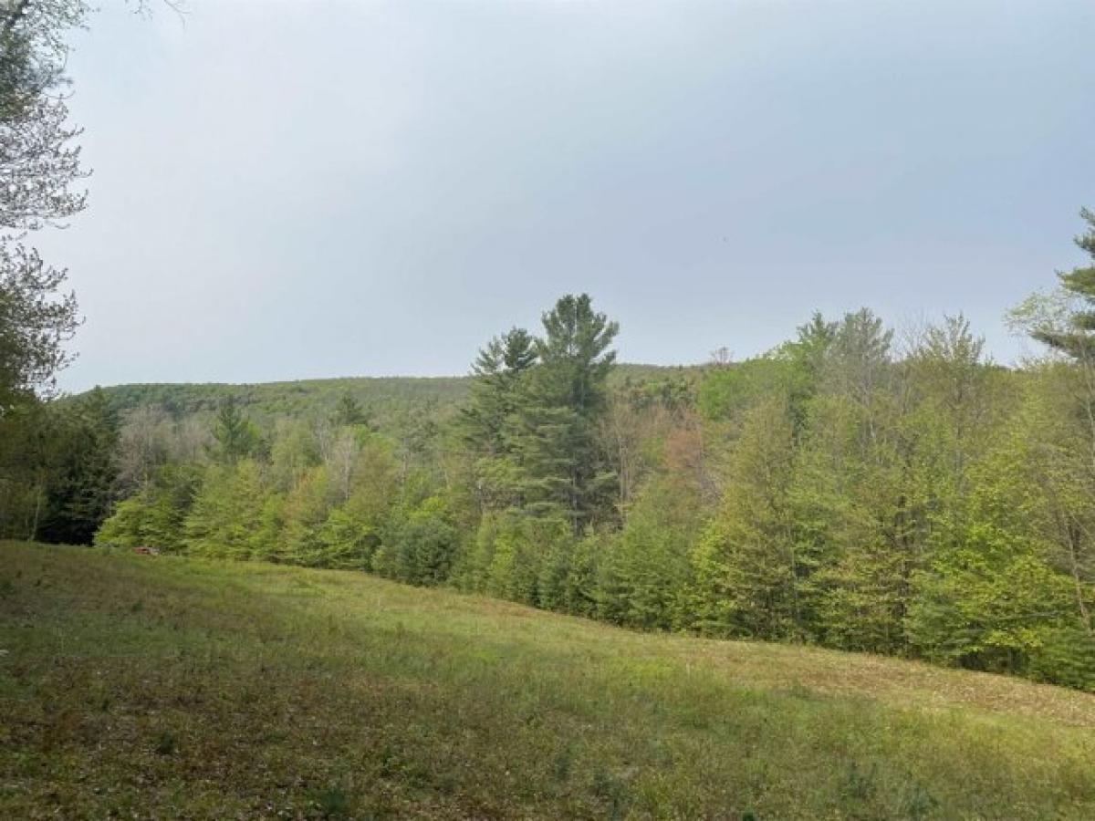 Picture of Residential Land For Sale in Roxbury, Vermont, United States