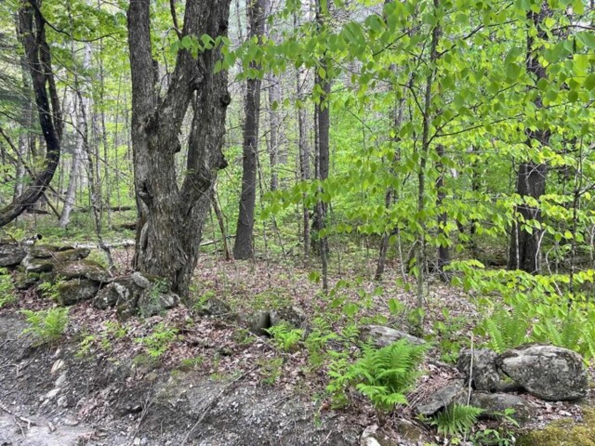 Picture of Residential Land For Sale in Thetford, Vermont, United States