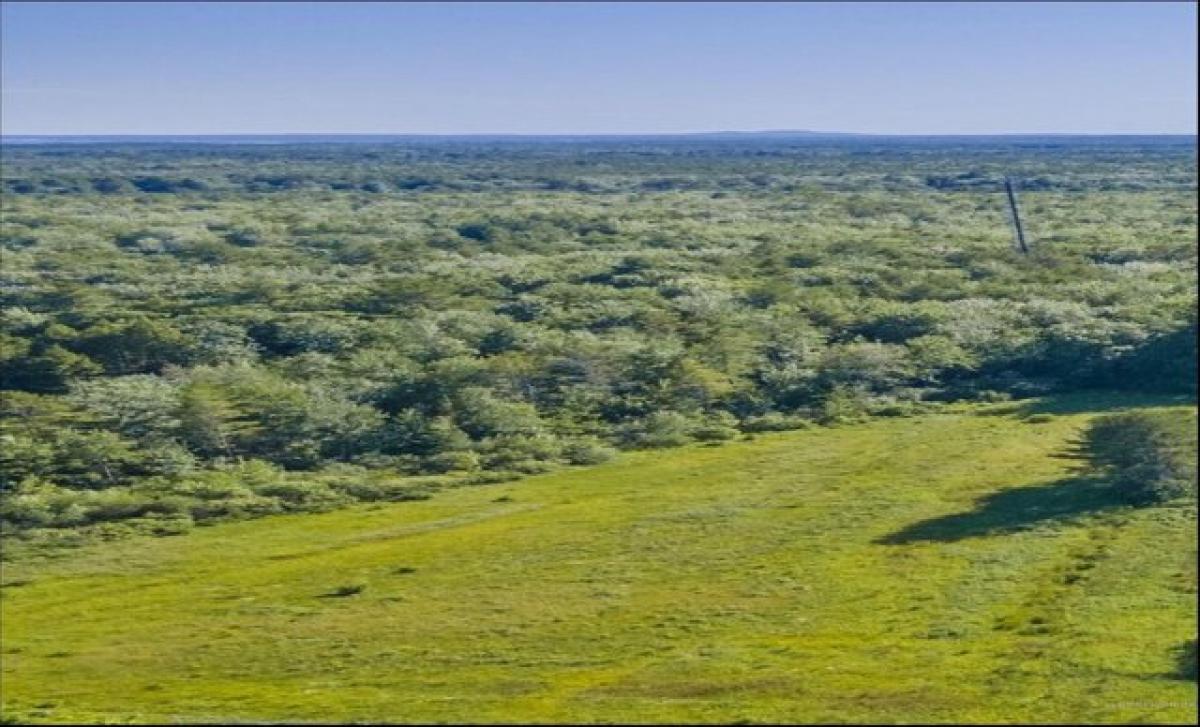 Picture of Residential Land For Sale in Arundel, Maine, United States