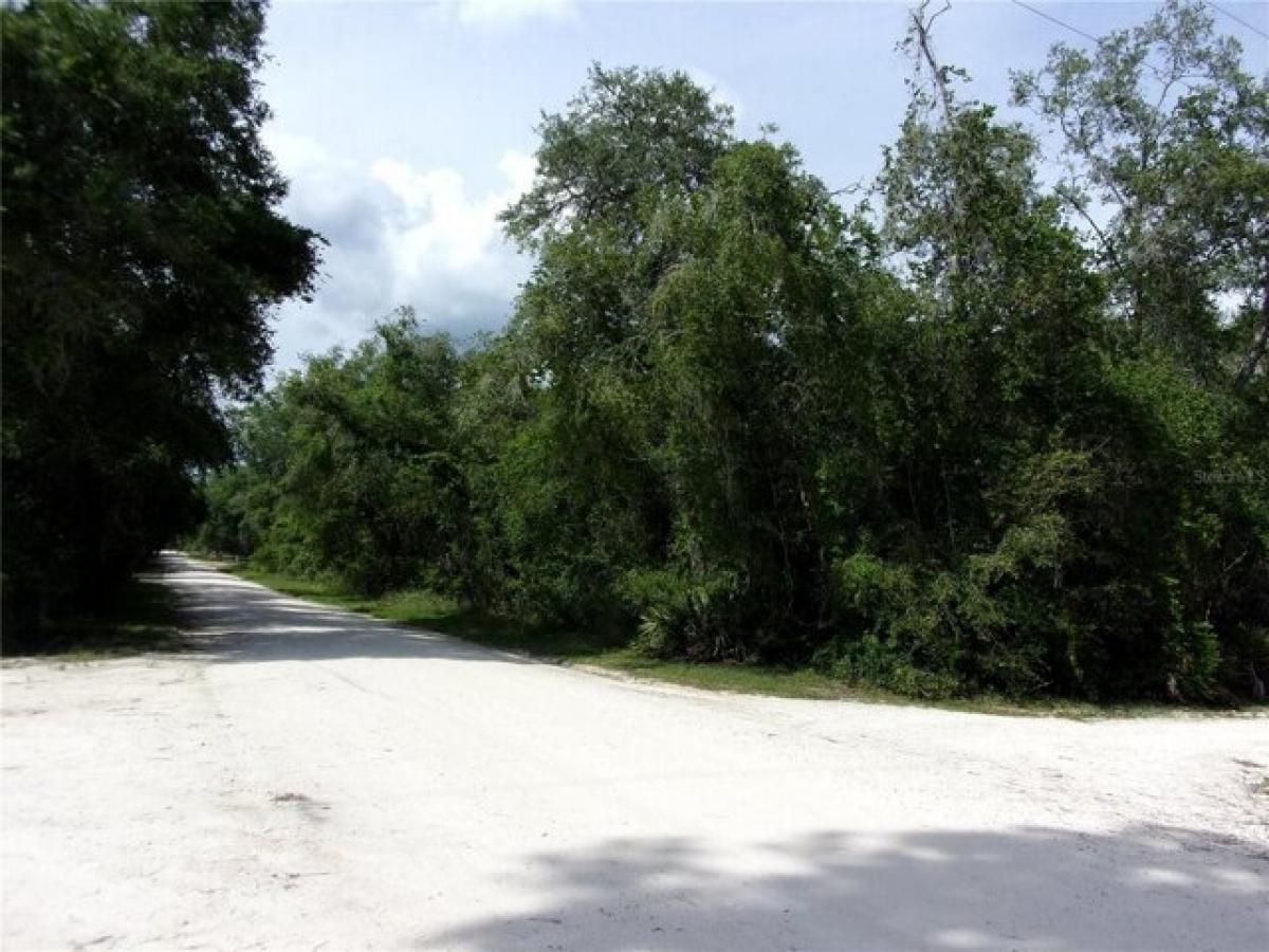 Picture of Residential Land For Sale in Old Town, Florida, United States