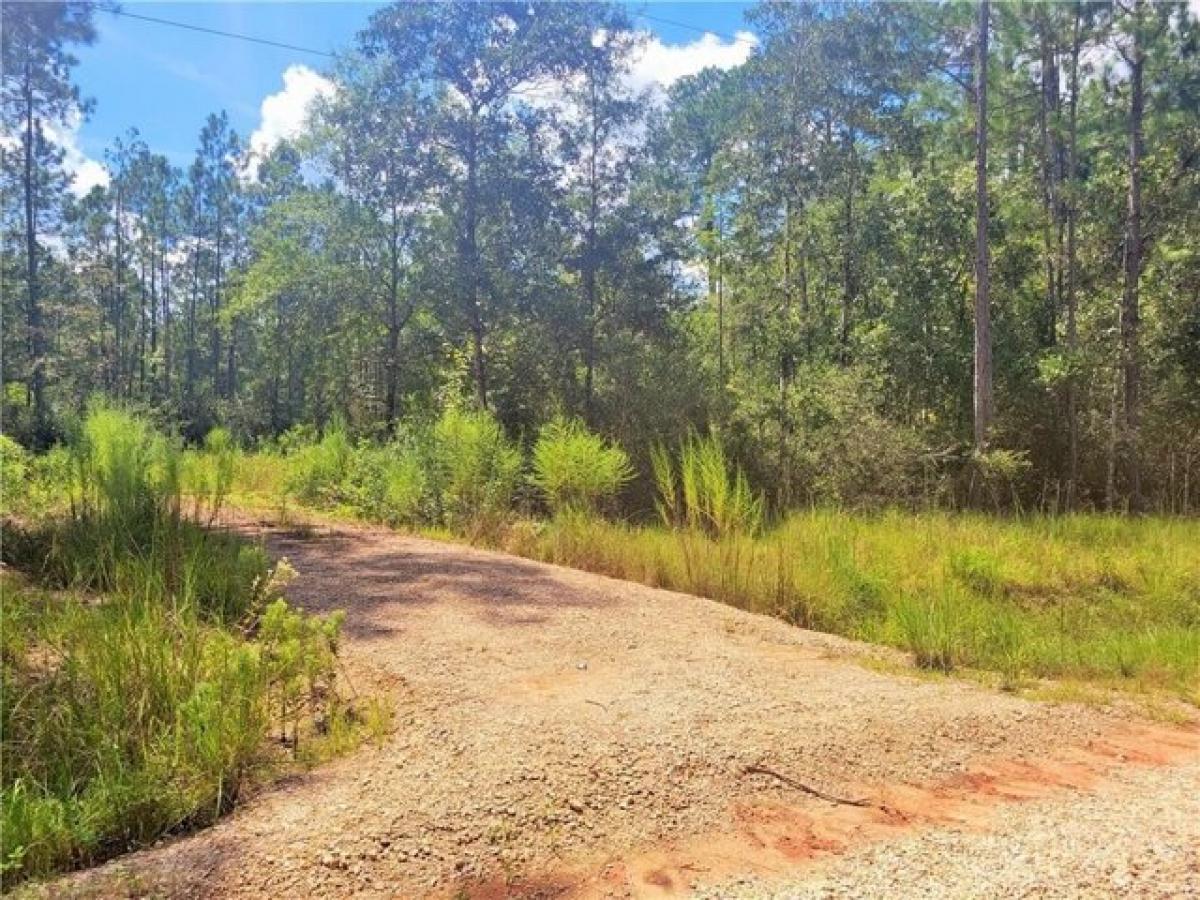 Picture of Residential Land For Sale in Abita Springs, Louisiana, United States