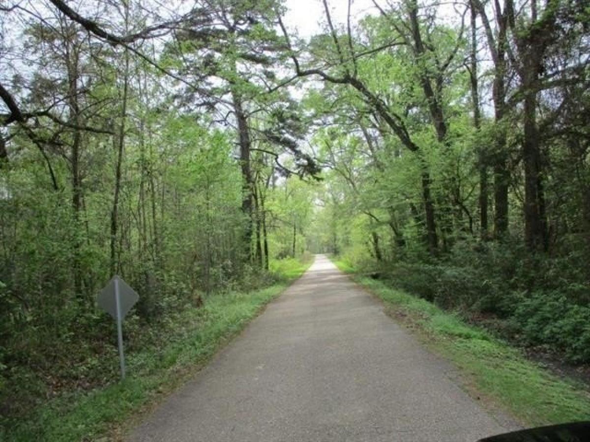 Picture of Residential Land For Sale in Madisonville, Louisiana, United States