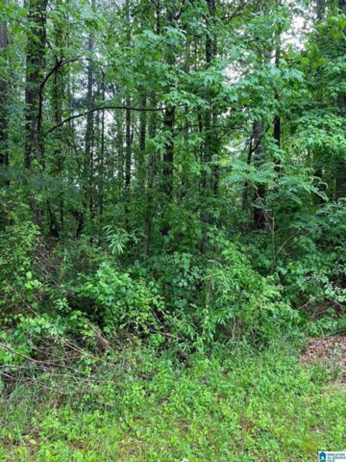 Picture of Residential Land For Sale in Riverside, Alabama, United States