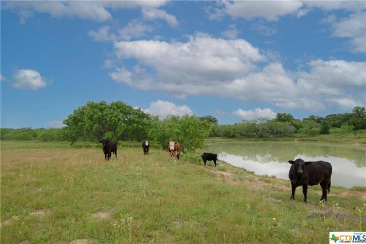 Picture of Residential Land For Sale in Seguin, Texas, United States