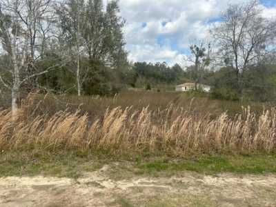 Residential Land For Sale in Citra, Florida