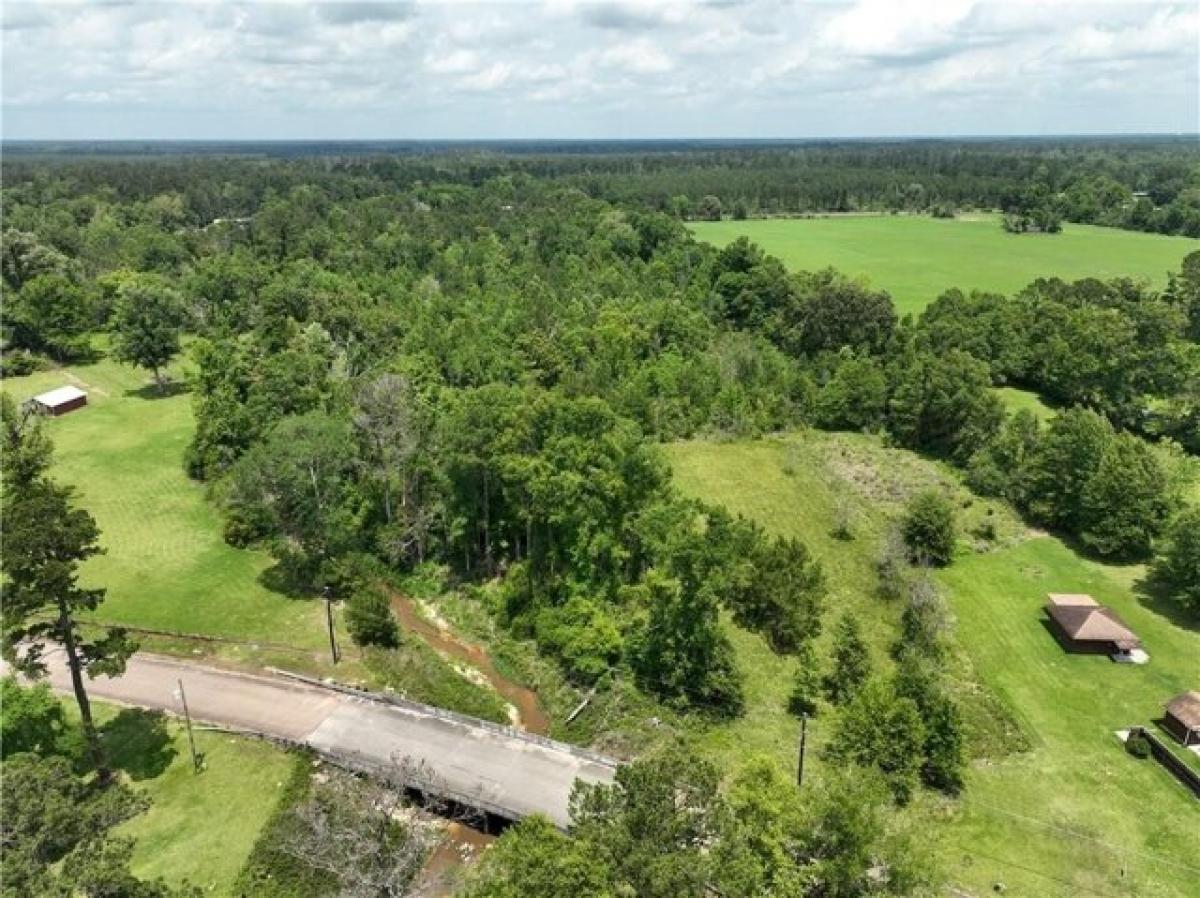 Picture of Residential Land For Sale in Independence, Louisiana, United States