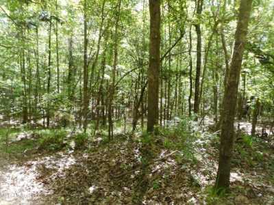 Residential Land For Sale in Durant, Mississippi