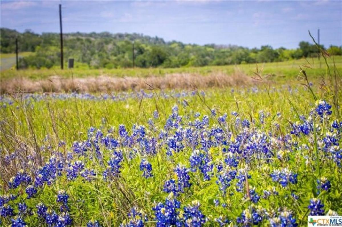 Picture of Residential Land For Sale in Geronimo, Texas, United States