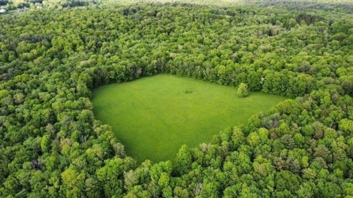 Picture of Residential Land For Sale in West Brookfield, Massachusetts, United States