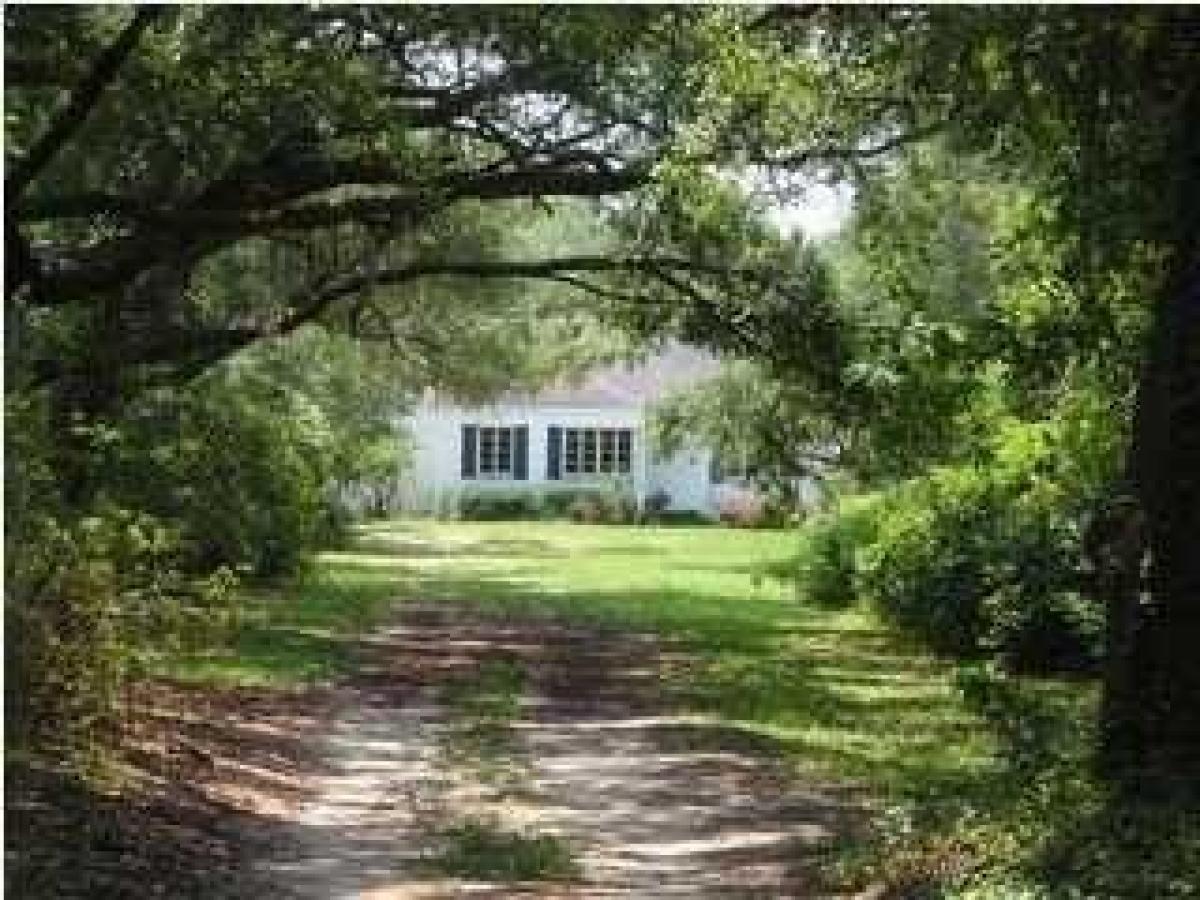 Picture of Home For Rent in Wadmalaw Island, South Carolina, United States