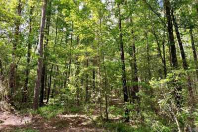 Residential Land For Sale in Greensburg, Louisiana