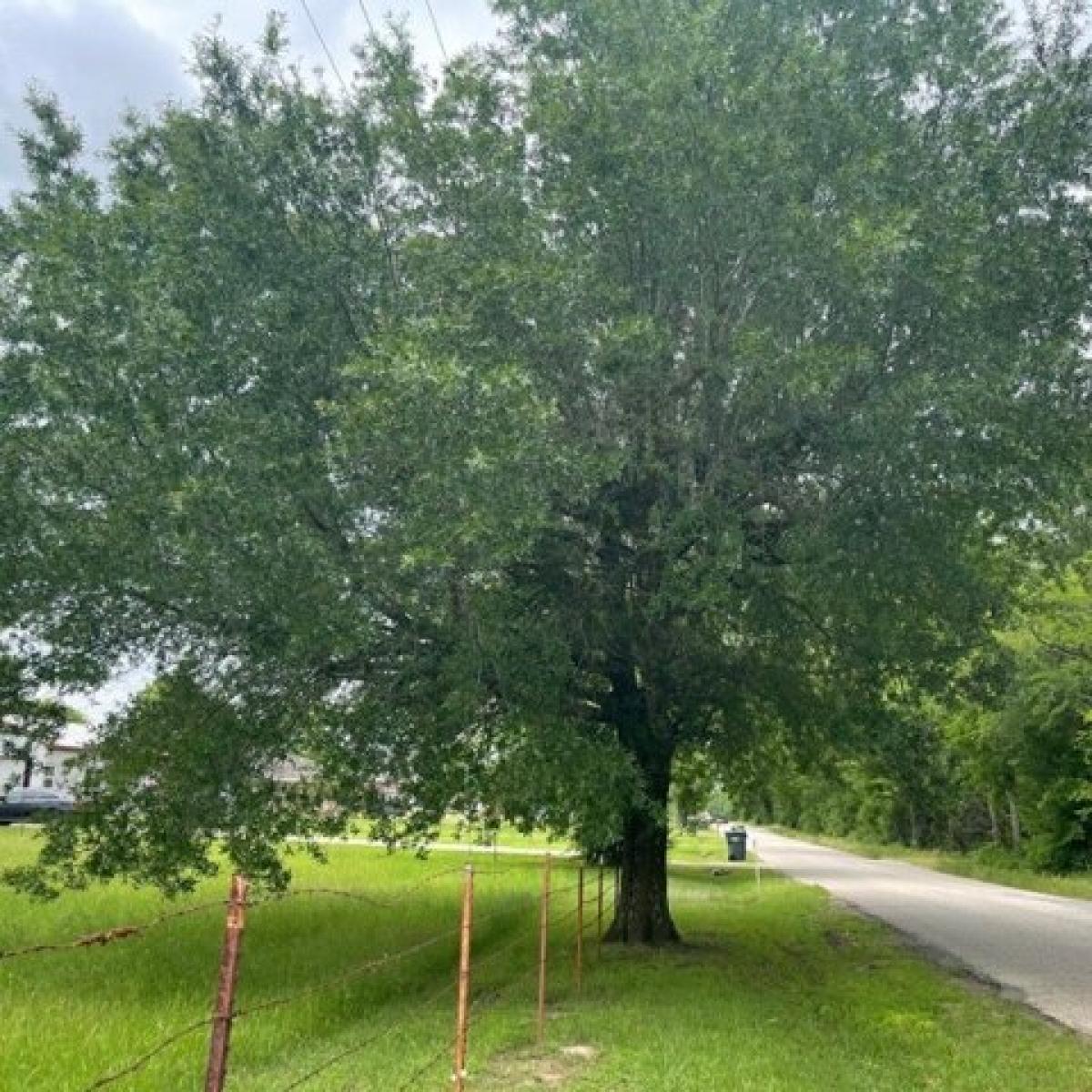 Picture of Residential Land For Sale in Emory, Texas, United States