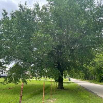 Residential Land For Sale in Emory, Texas