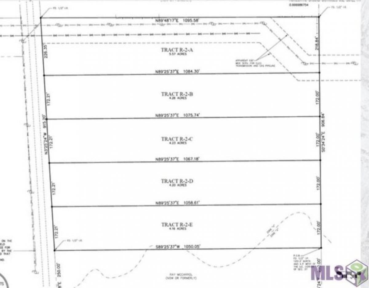 Picture of Residential Land For Sale in Independence, Louisiana, United States