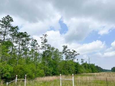 Residential Land For Sale in Silsbee, Texas