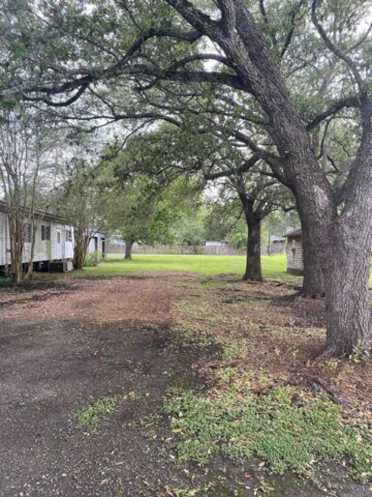 Picture of Residential Land For Sale in Pierre Part, Louisiana, United States