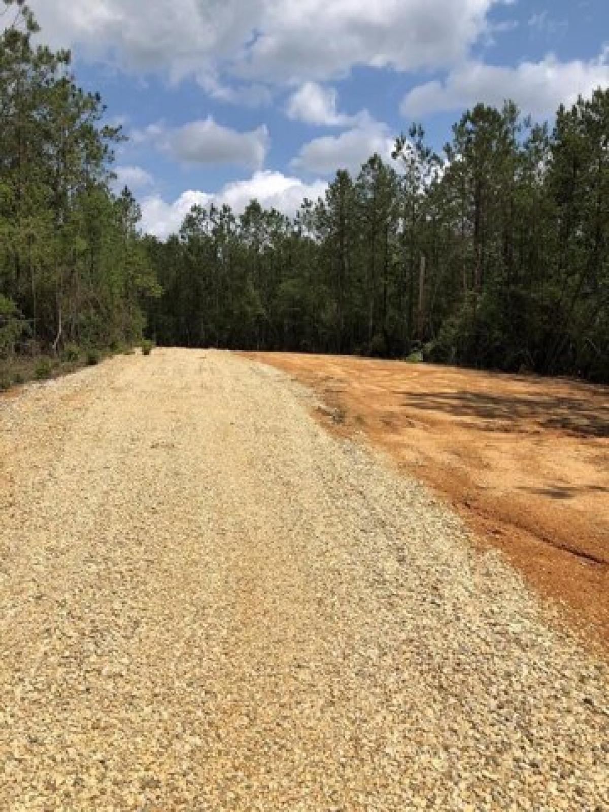 Picture of Residential Land For Sale in Carriere, Mississippi, United States