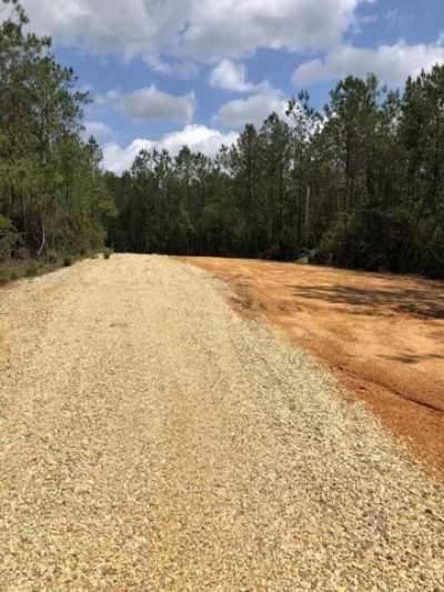 Residential Land For Sale in Carriere, Mississippi